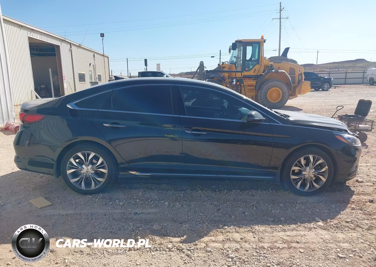 2019 Hyundai Sonata Limited 2.0T VIN:5NPE34AB7KH800451 - 13