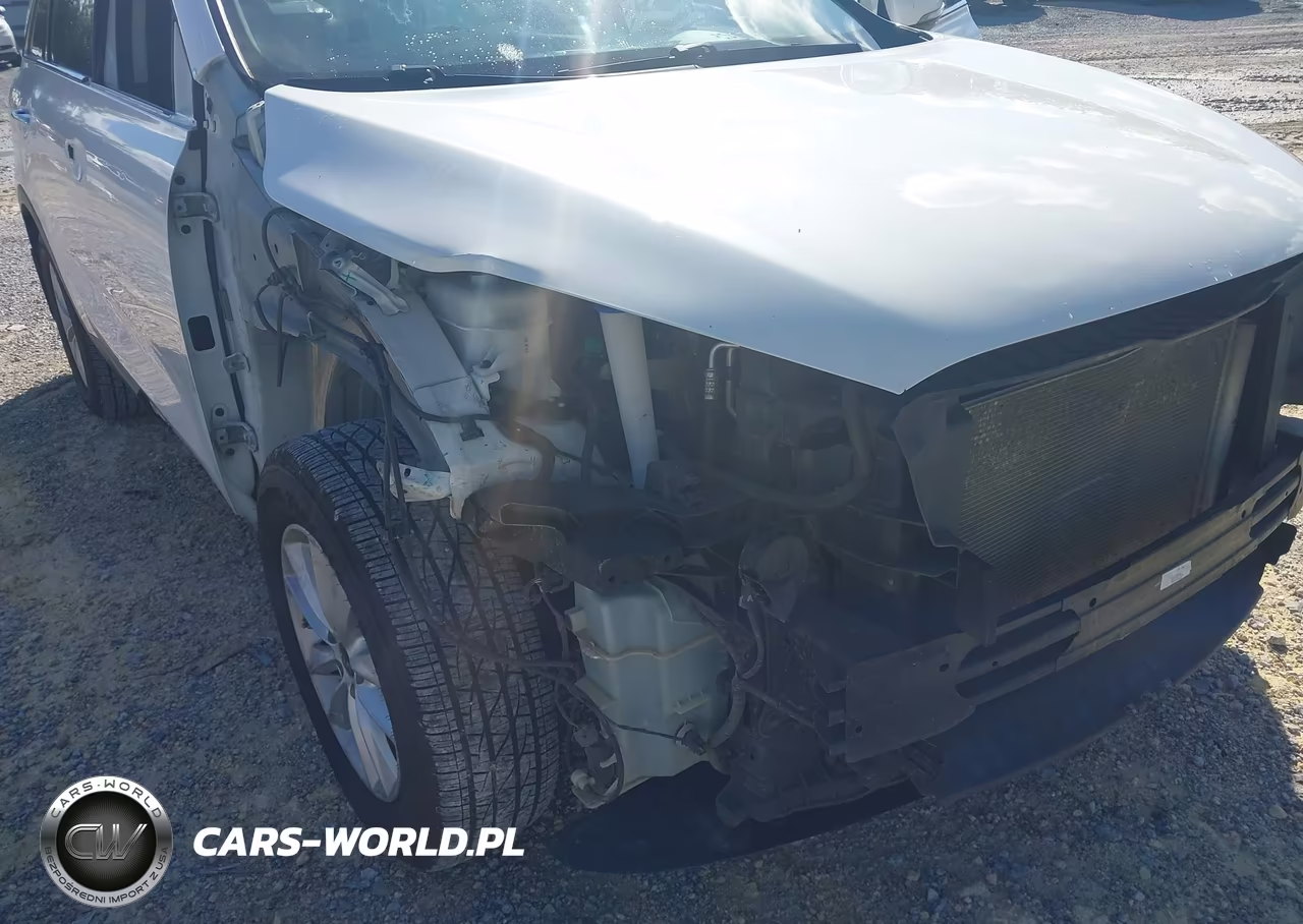 2020 Kia Sorento 2.4L L VIN:5XYPG4A31LG711604 - 6