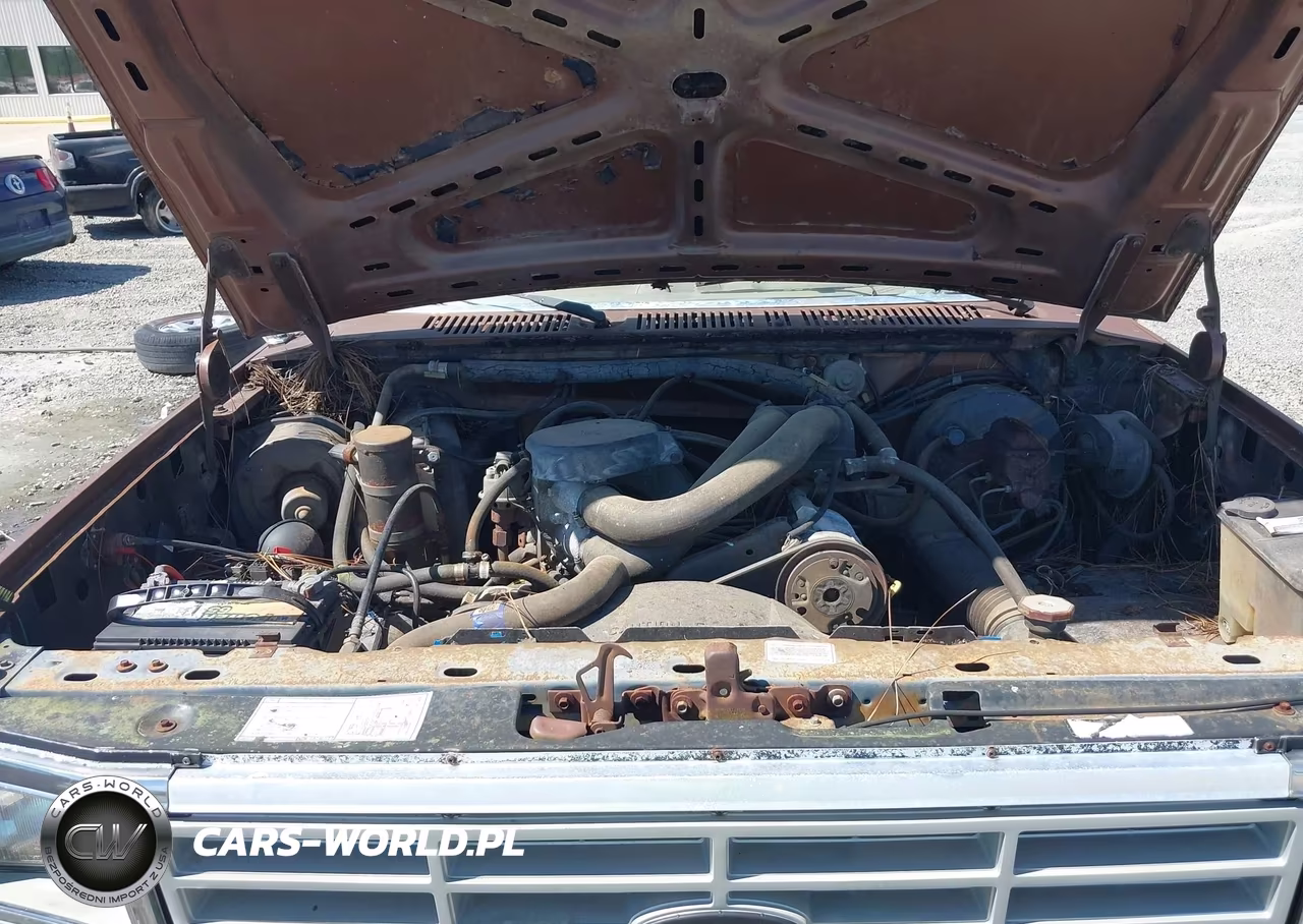 1986 Ford F150 VIN:1FTCF15N9GNA71863 - 10
