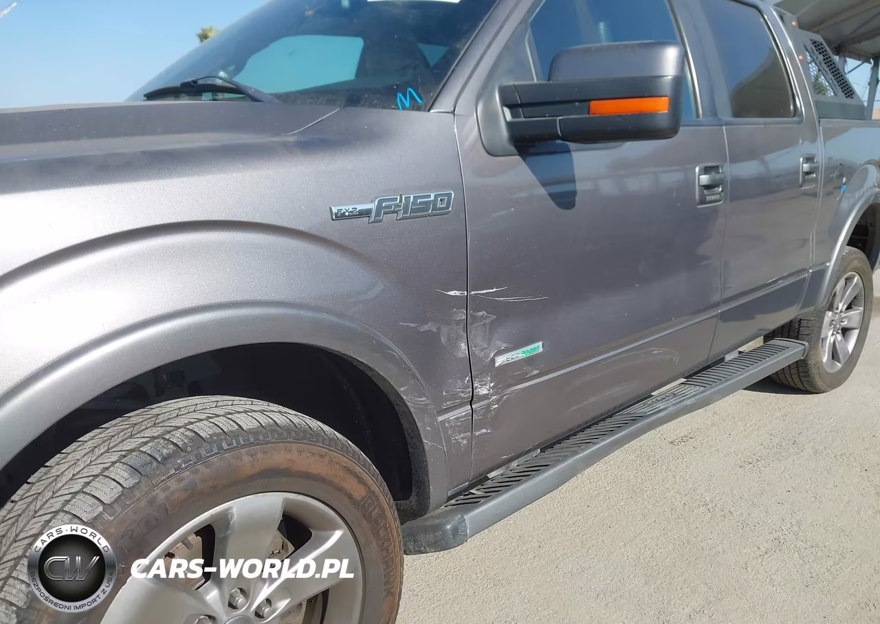 2011 Ford F-150 Fx2 VIN:1FTFW1CT5BKE18081 - 12