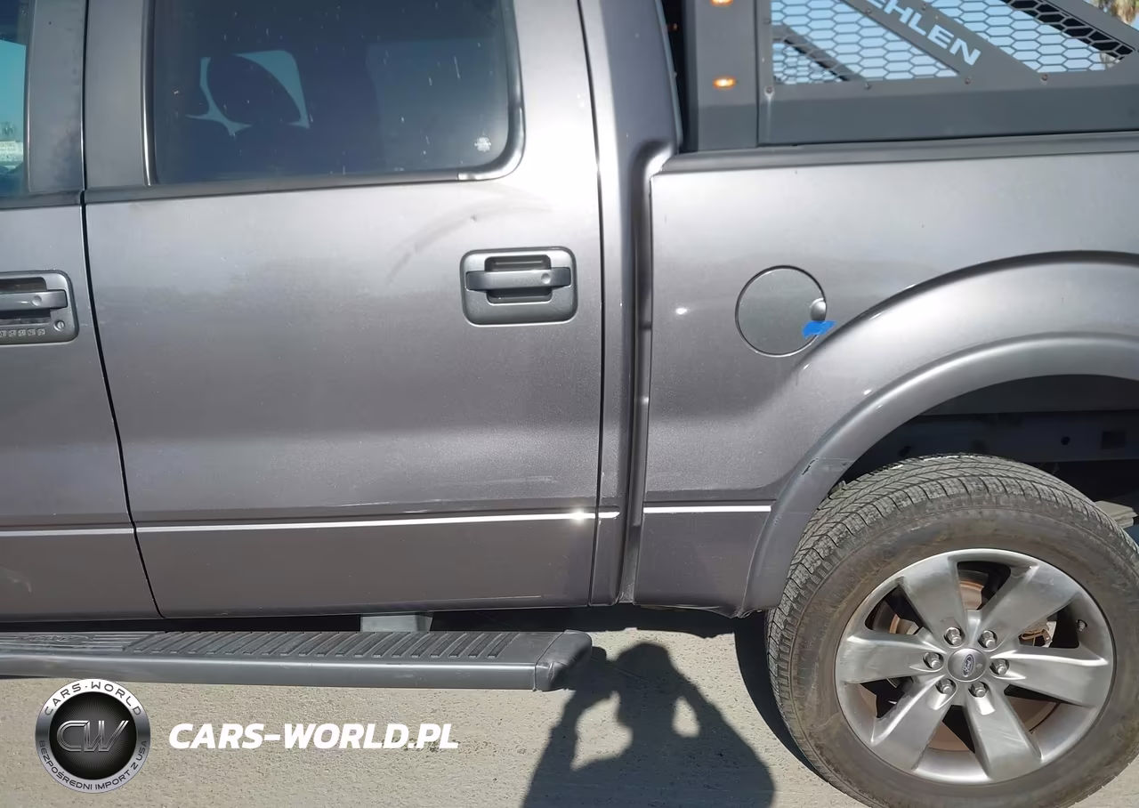 2011 Ford F-150 Fx2 VIN:1FTFW1CT5BKE18081 - 13