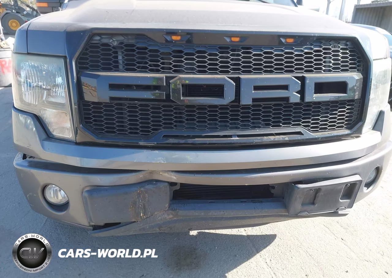 2011 Ford F-150 Fx2 VIN:1FTFW1CT5BKE18081 - 16