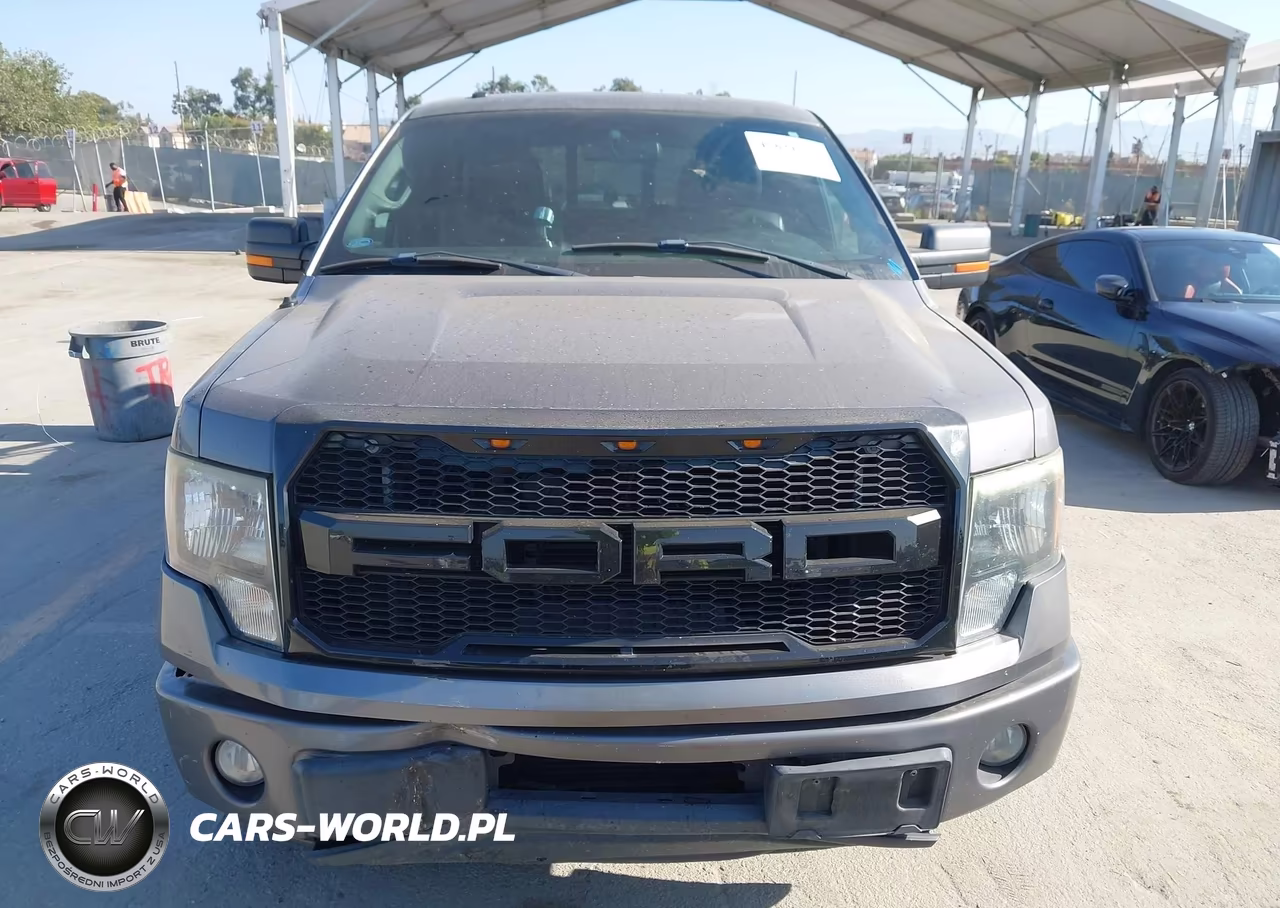 2011 Ford F-150 Fx2 VIN:1FTFW1CT5BKE18081 - 17