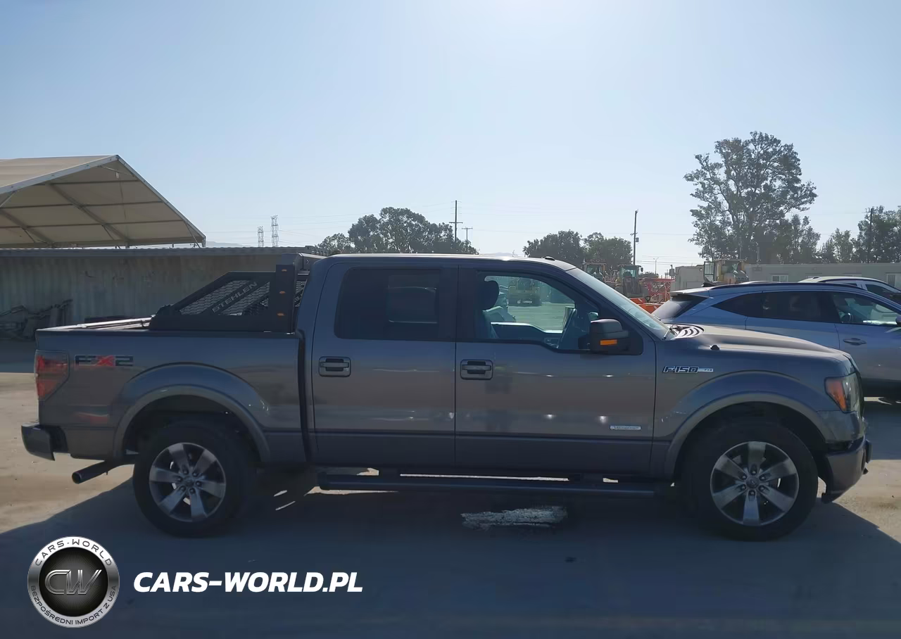 2011 Ford F-150 Fx2 VIN:1FTFW1CT5BKE18081 - 18