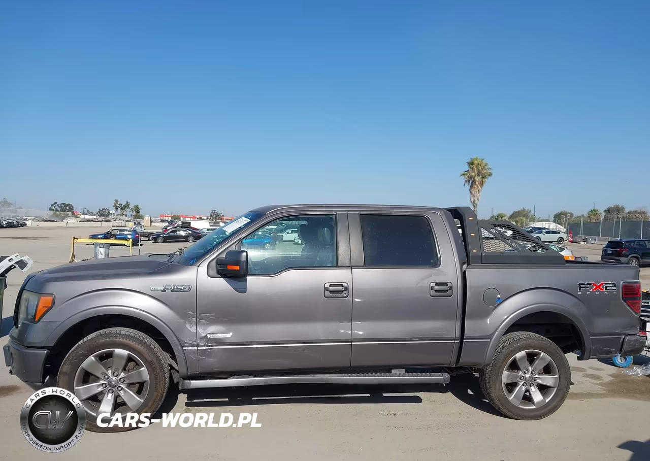 2011 Ford F-150 Fx2 VIN:1FTFW1CT5BKE18081 - 19