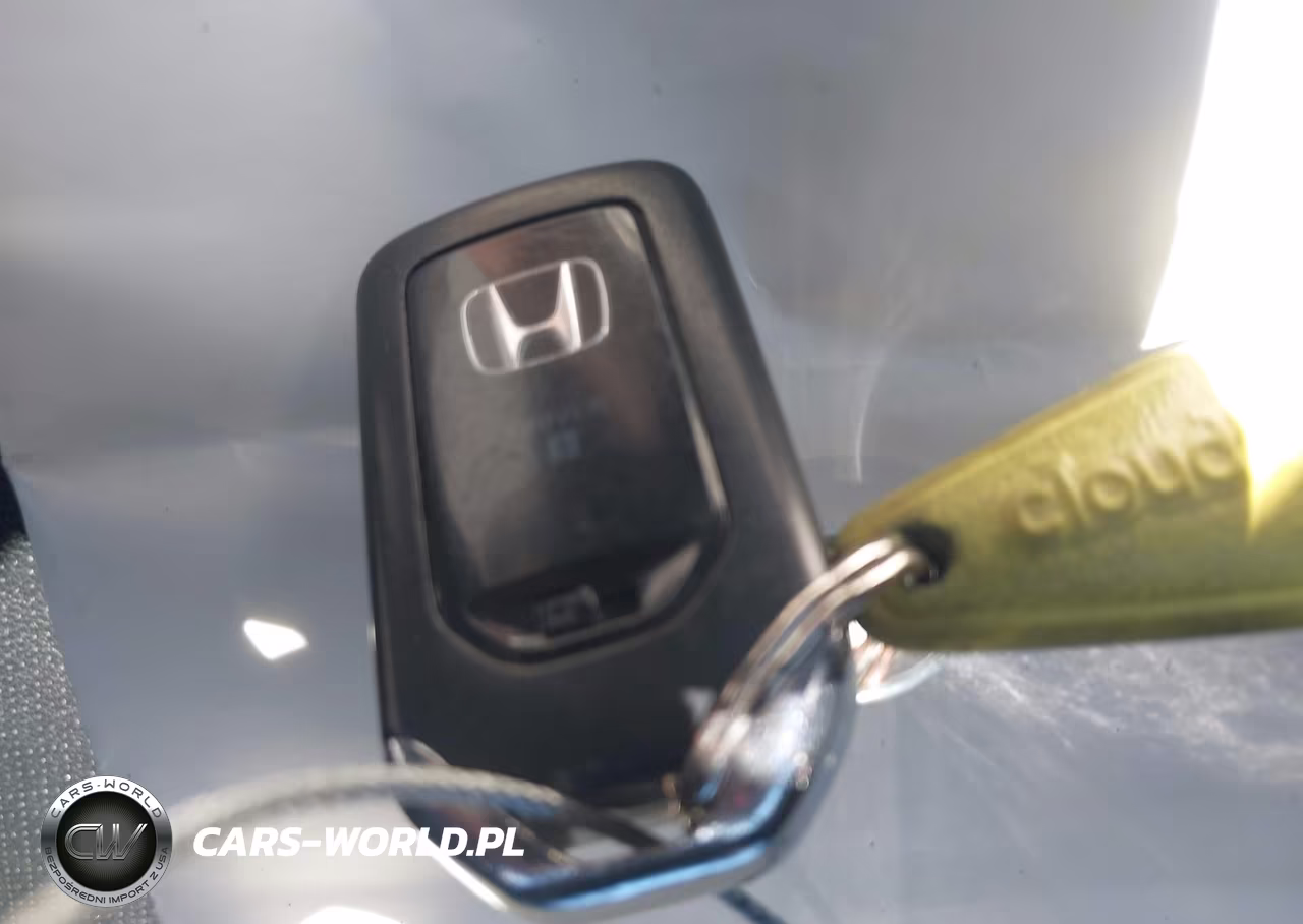 2013 Honda Accord Ex-L VIN:1HGCR2F89DA034399 - 11