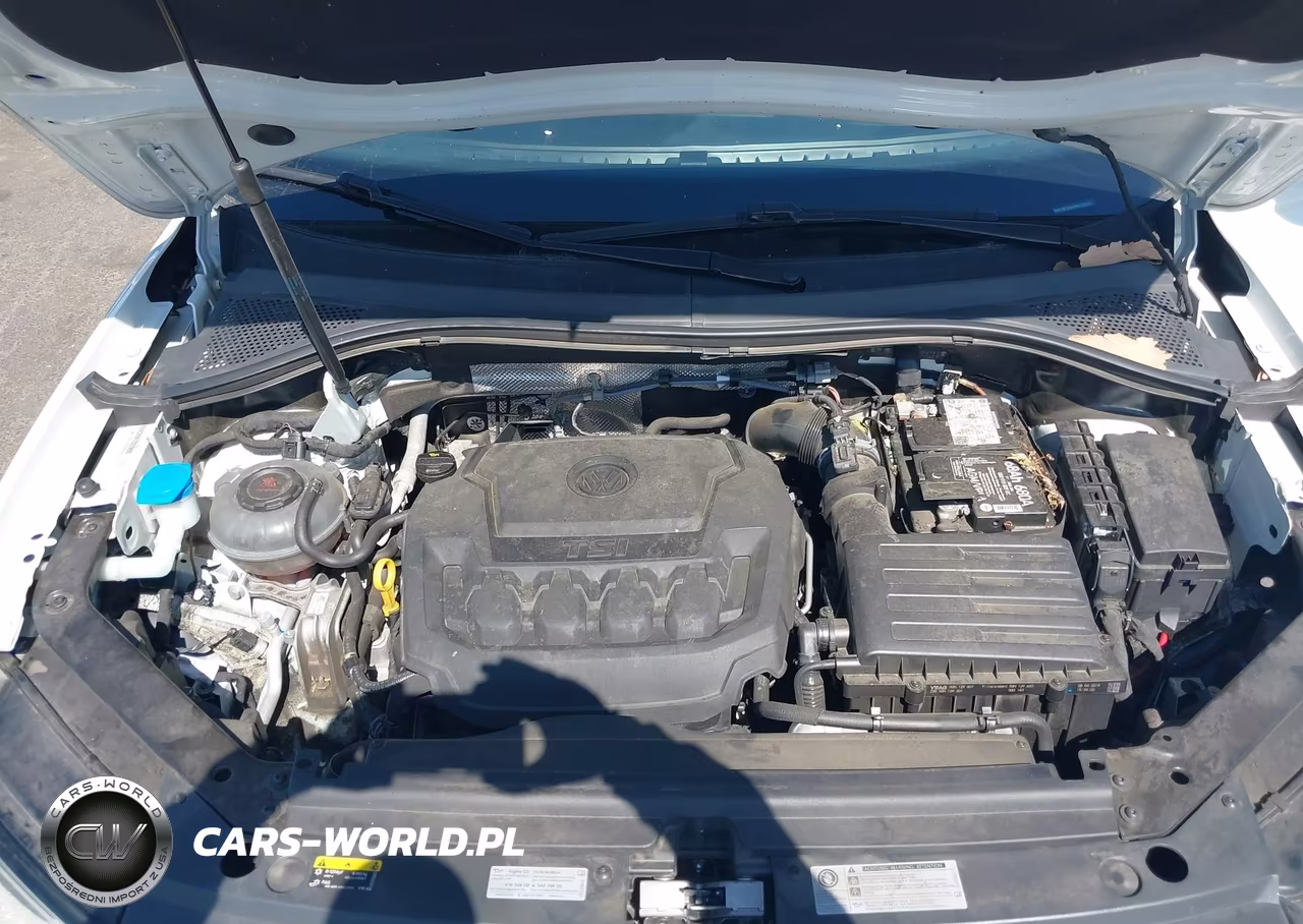 2019 Volkswagen Tiguan 2.0T S VIN:3VV1B7AX2KM133900 - 10
