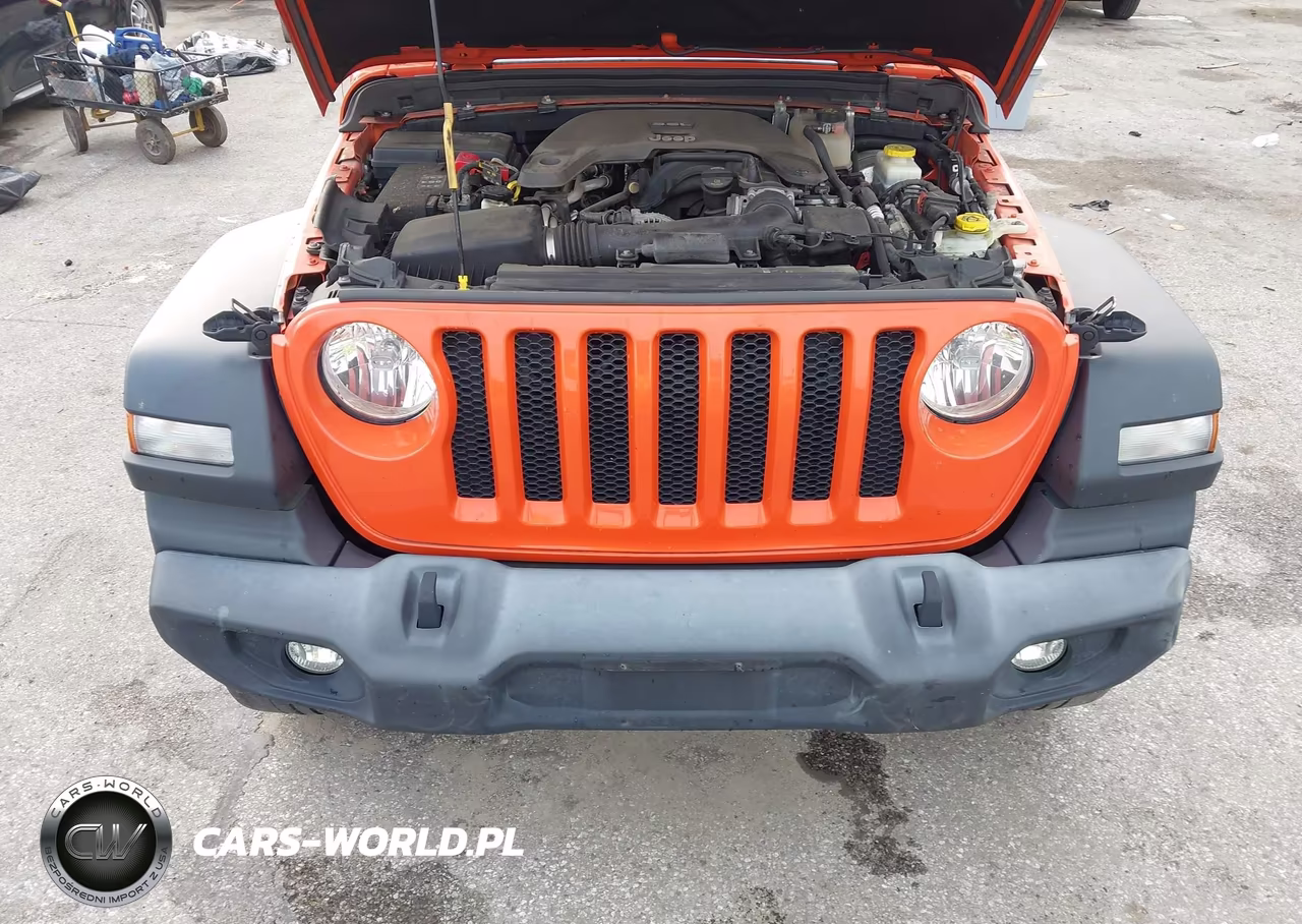 2019 Jeep Wrangler Unlimited Sport S 4X4 VIN:1C4HJXDG1KW659205 - 10