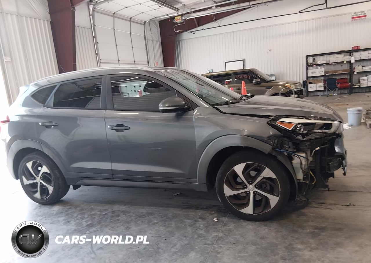 2016 Hyundai Tucson Sport VIN:KM8J33A29GU069183 - 12