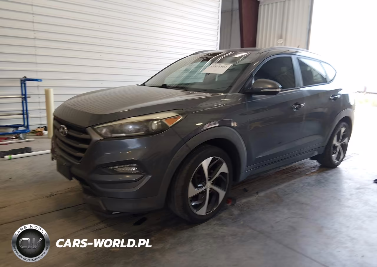 2016 Hyundai Tucson Sport VIN:KM8J33A29GU069183 - 2
