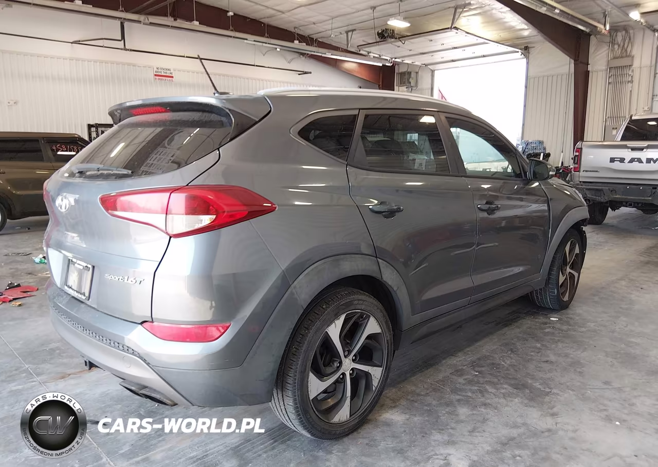 2016 Hyundai Tucson Sport VIN:KM8J33A29GU069183 - 4