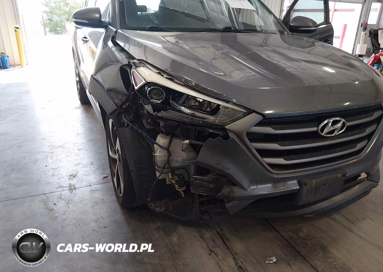 2016 Hyundai Tucson Sport VIN:KM8J33A29GU069183 - 6
