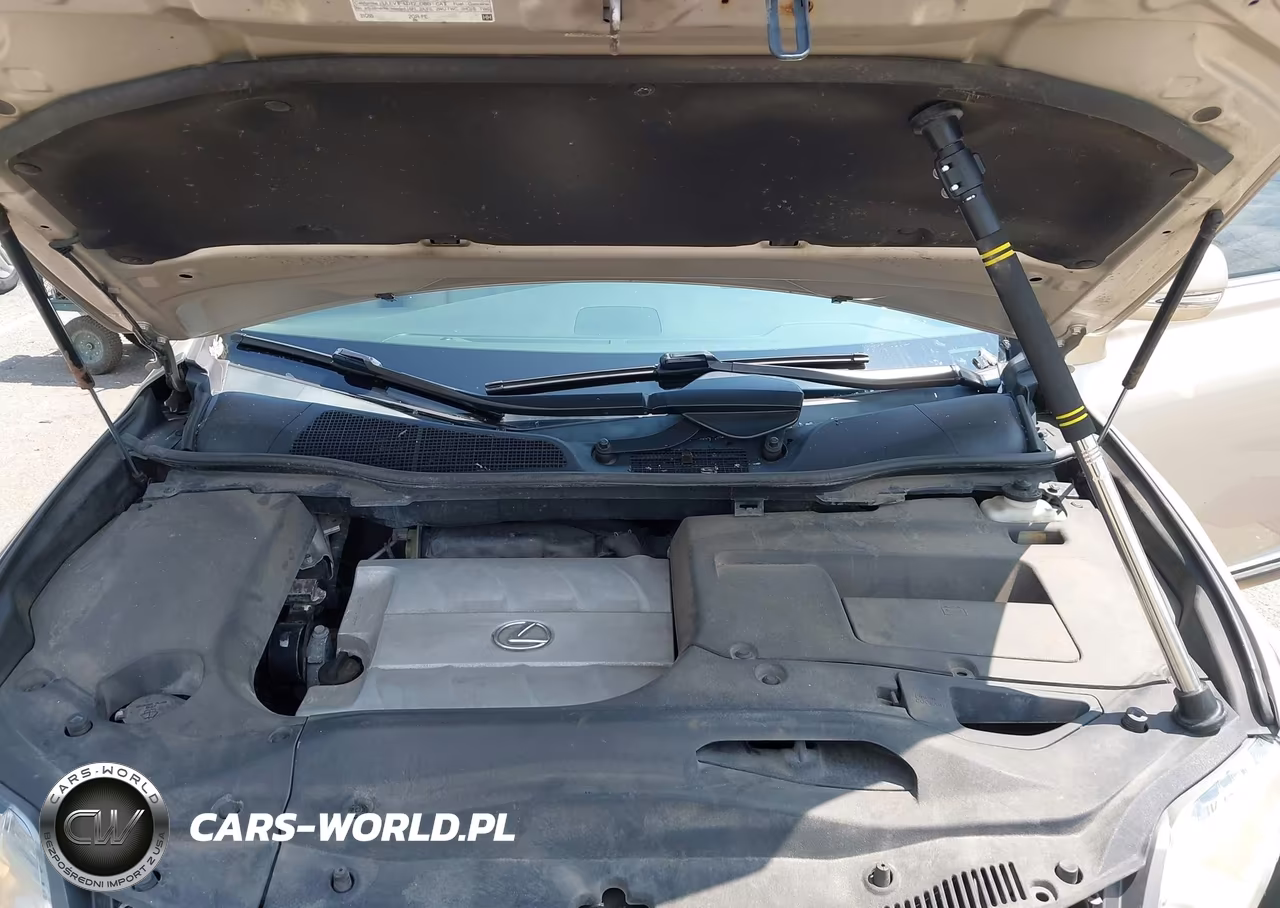 2012 Lexus Rx 350 VIN:2T2BK1BA5CC124091 - 10