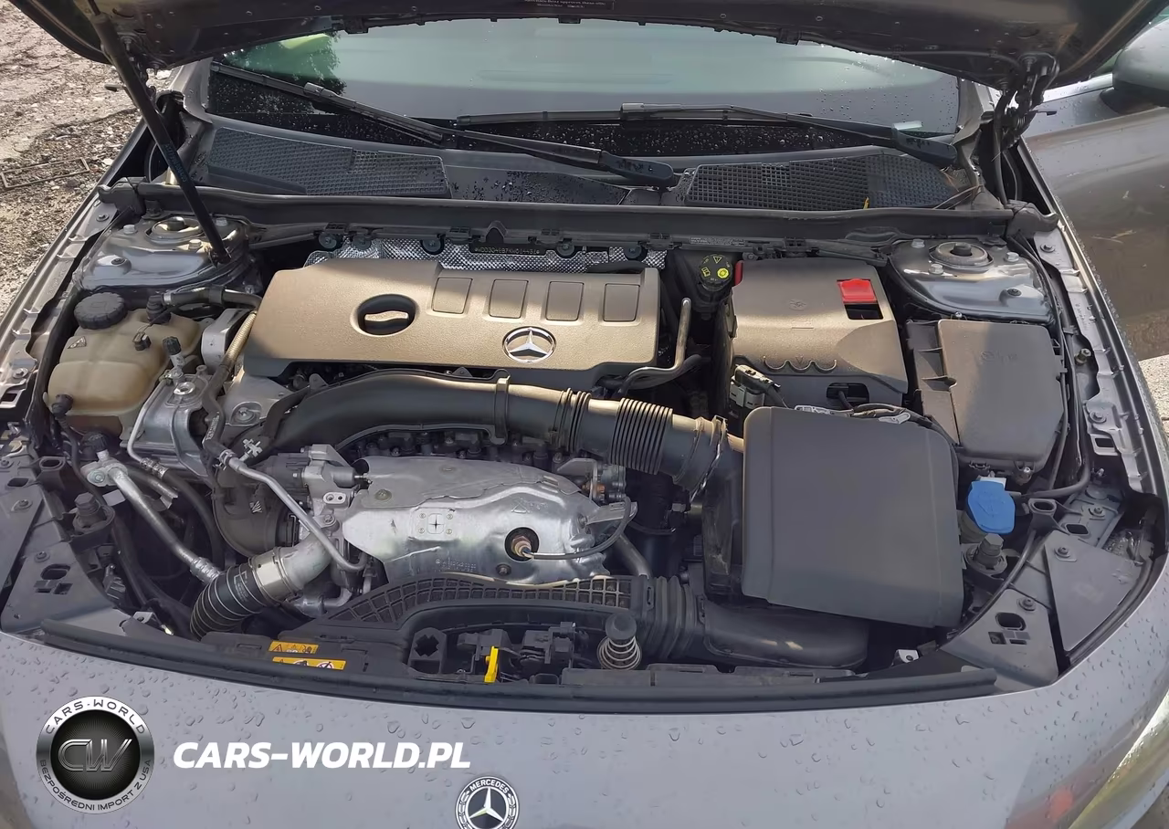 2019 Mercedes-Benz A 220 VIN:WDD3G4EB7KW014431 - 10