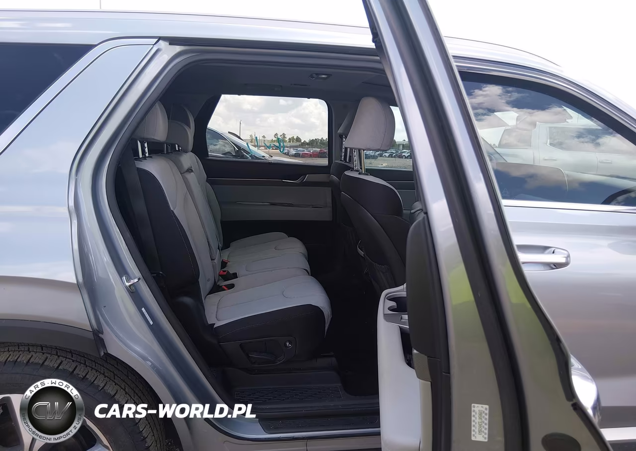 2020 Hyundai Palisade Sel VIN:KM8R34HE5LU050603 - 8