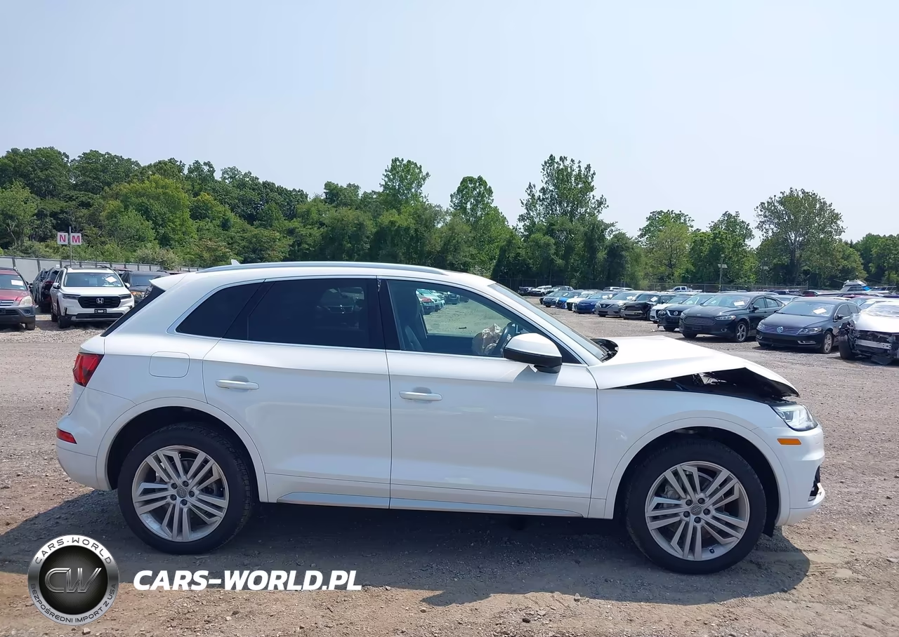 2020 Audi Q5 Premium Plus 45 Tfsi Quattro S Tronic VIN:WA1BNAFY8L2028127 - 13