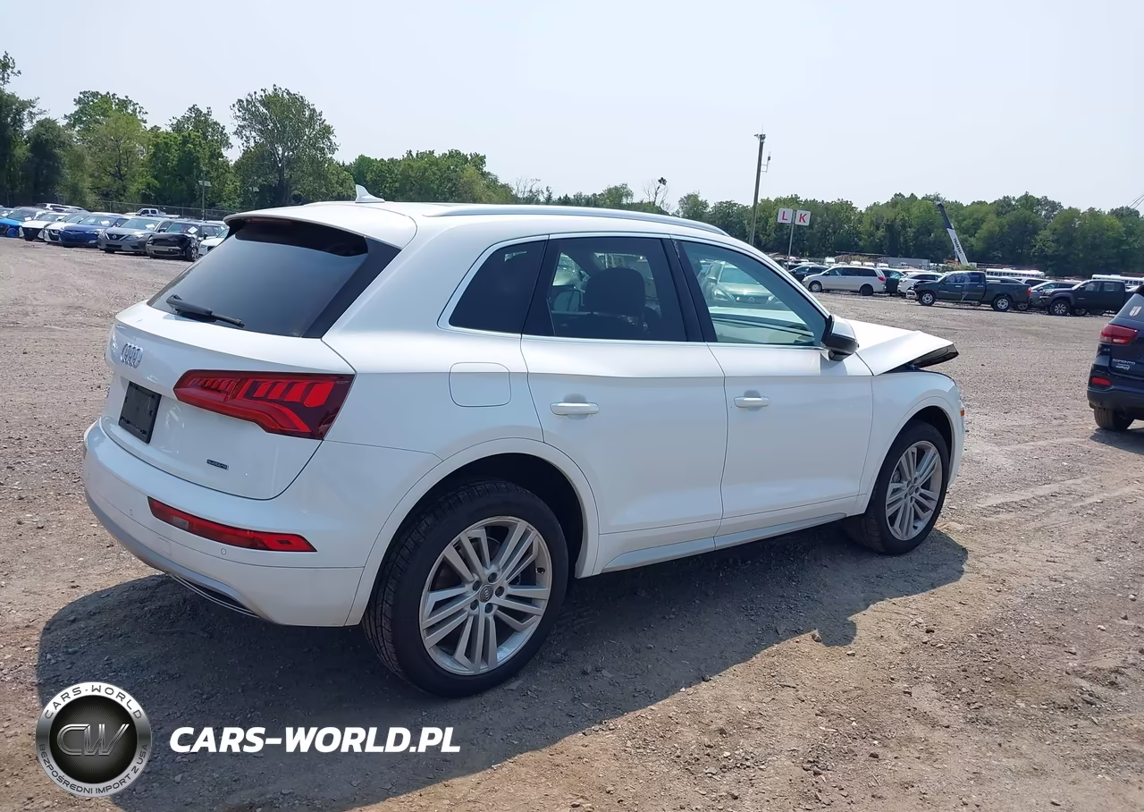 2020 Audi Q5 Premium Plus 45 Tfsi Quattro S Tronic VIN:WA1BNAFY8L2028127 - 4