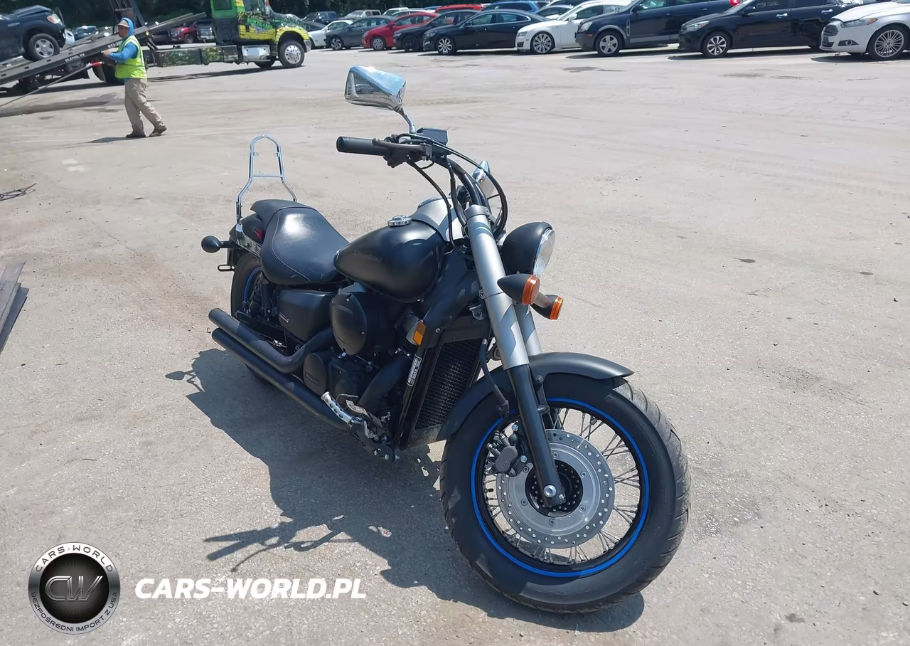 2013 Honda Vt750 C2B