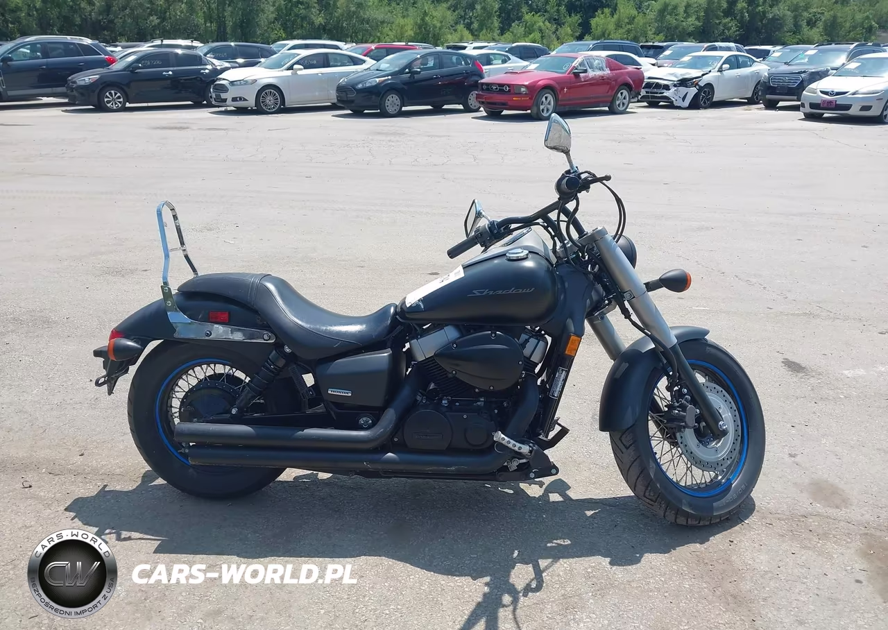 2013 Honda Vt750 C2B VIN:JH2RC5372DK301519 - 12