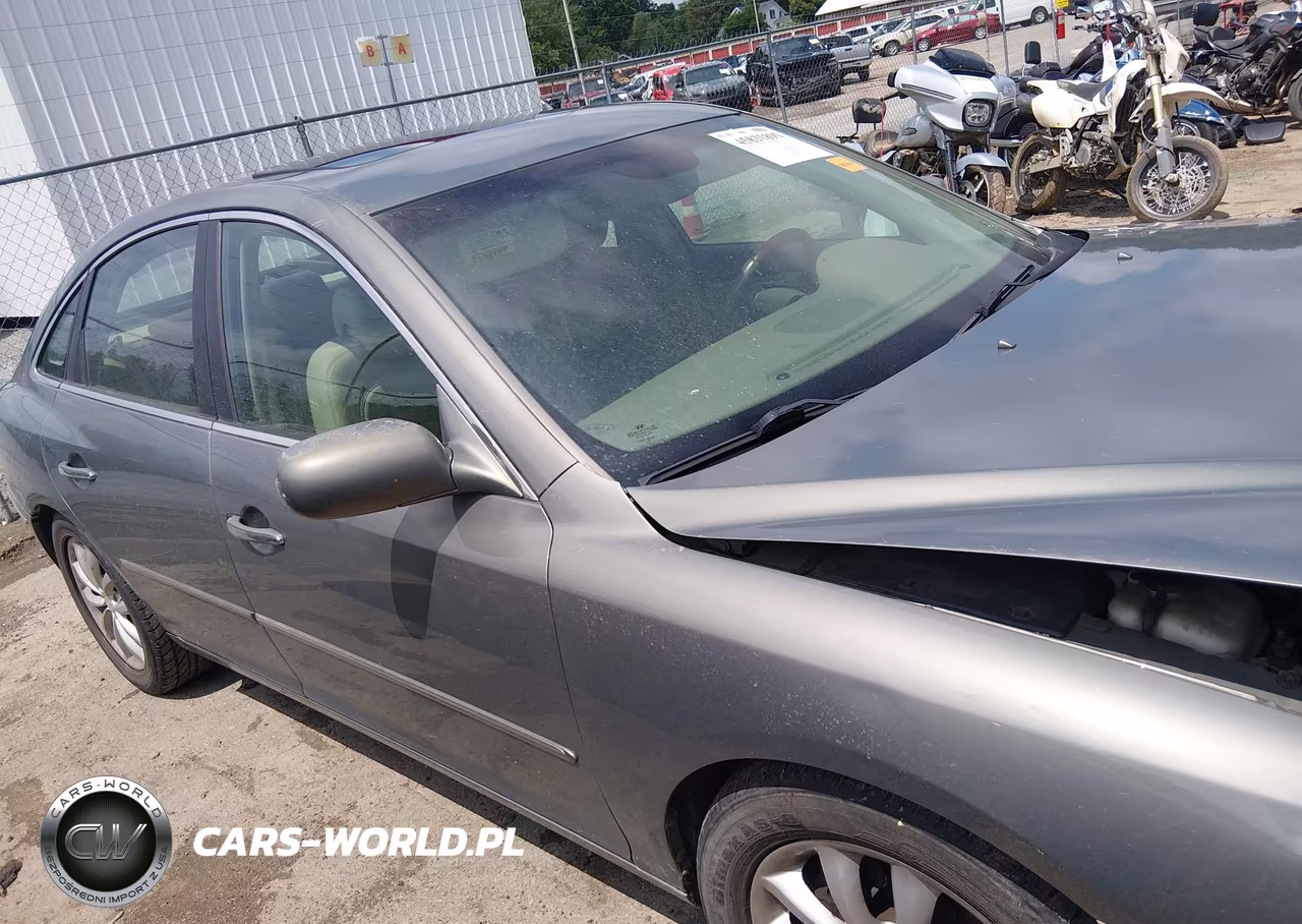 2006 Hyundai Azera Limited-Se VIN:KMHFC46F76A134989 - 14