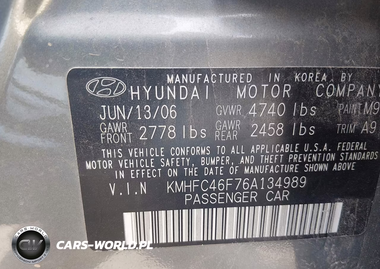 2006 Hyundai Azera Limited-Se VIN:KMHFC46F76A134989 - 9