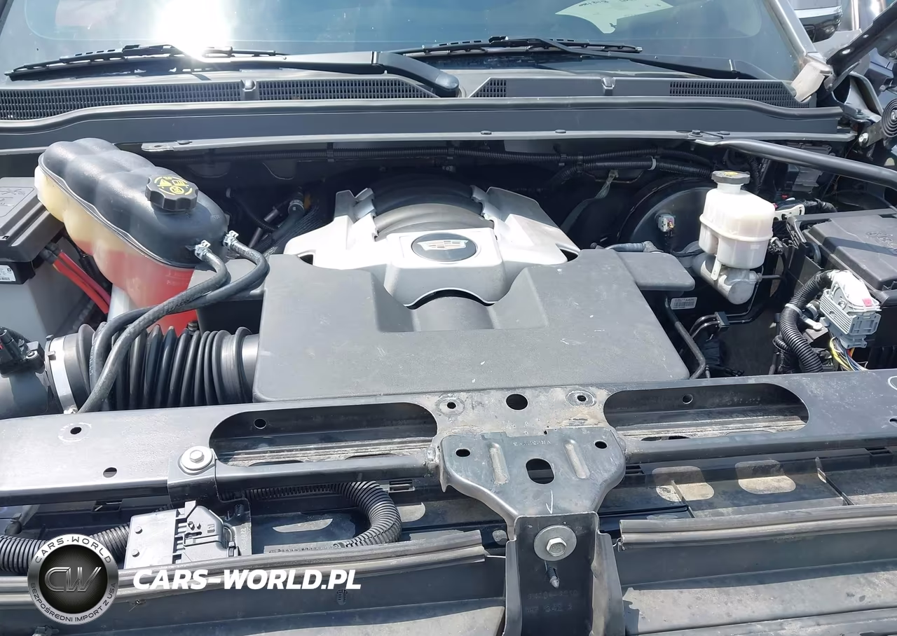 2019 Cadillac Escalade Luxury VIN:1GYS4BKJ5KR248462 - 10