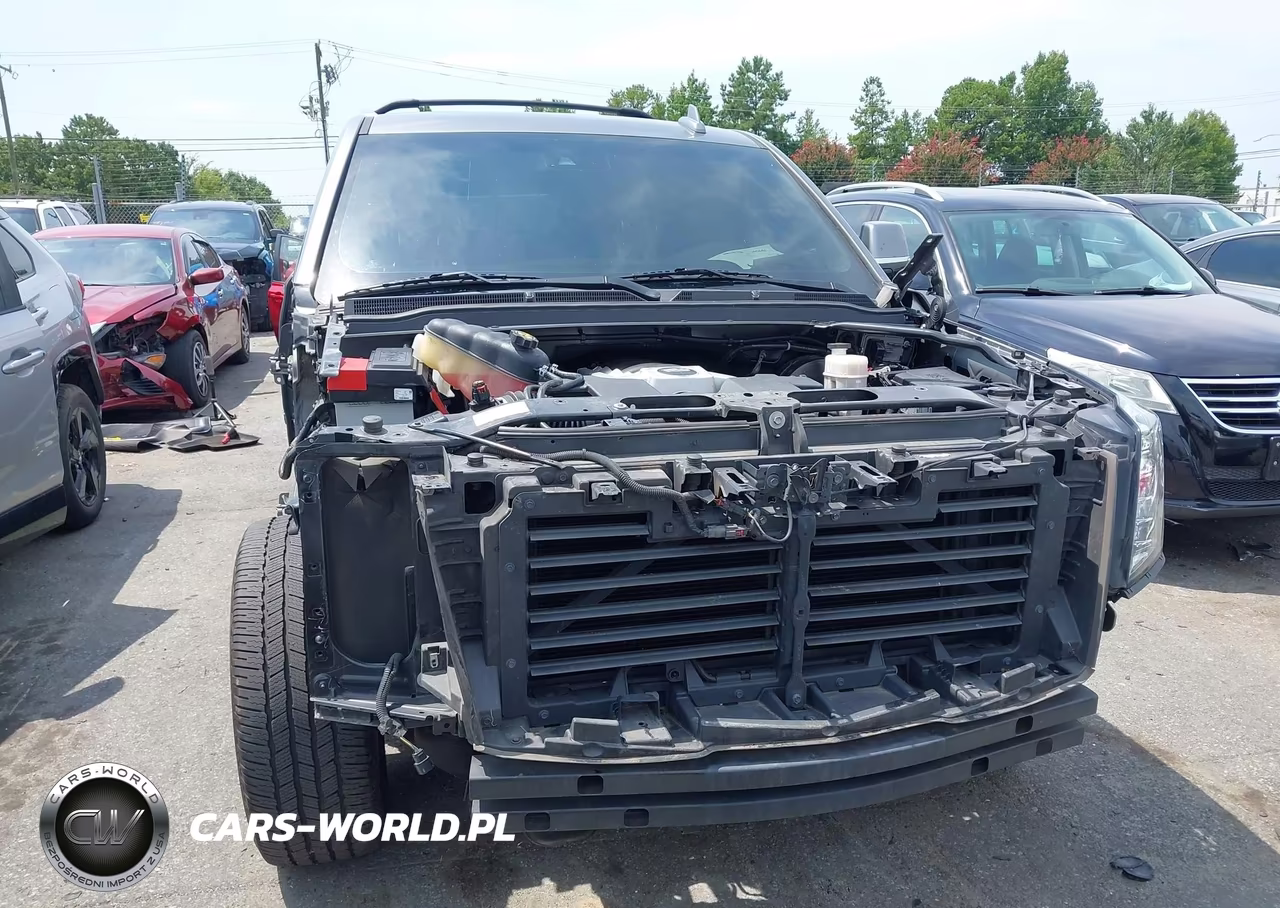 2019 Cadillac Escalade Luxury VIN:1GYS4BKJ5KR248462 - 13