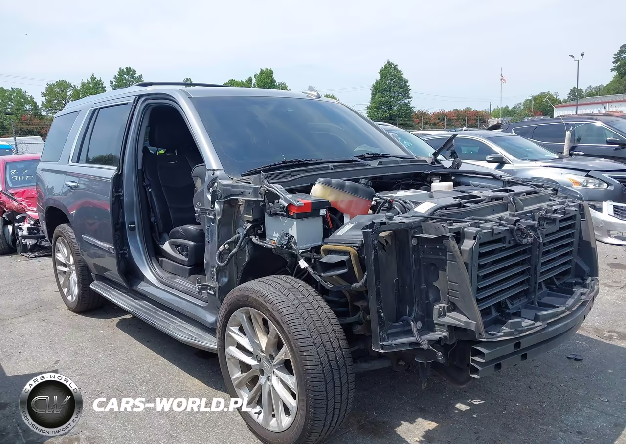 2019 Cadillac Escalade Luxury VIN:1GYS4BKJ5KR248462 - 14