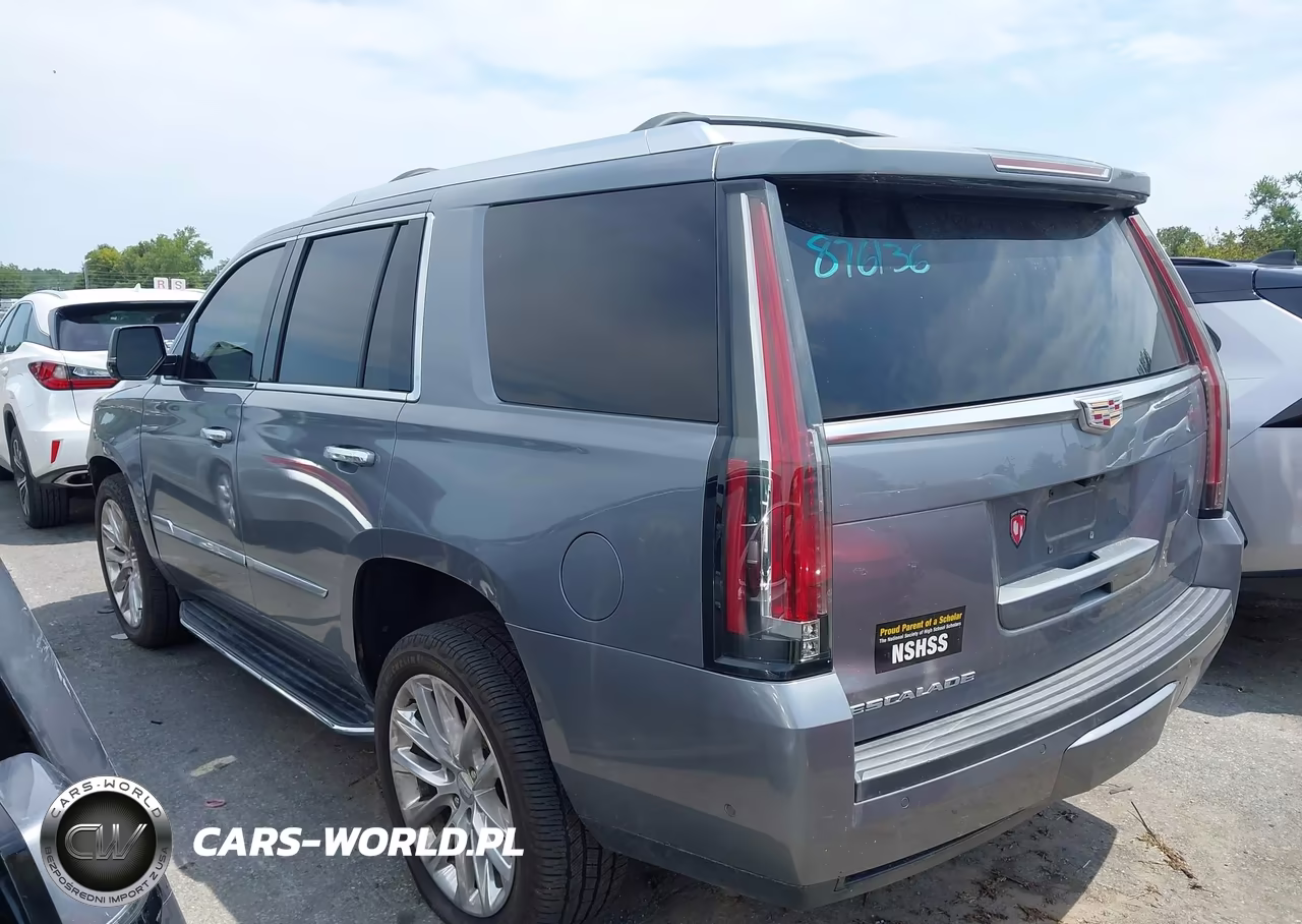 2019 Cadillac Escalade Luxury VIN:1GYS4BKJ5KR248462 - 15
