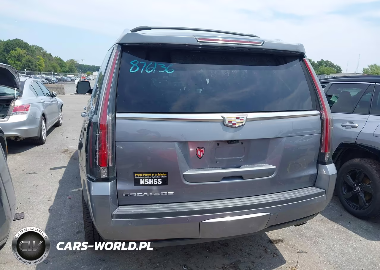 2019 Cadillac Escalade Luxury VIN:1GYS4BKJ5KR248462 - 17