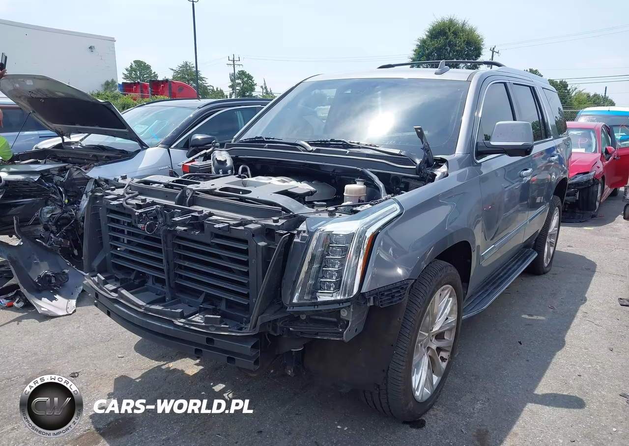 2019 Cadillac Escalade Luxury VIN:1GYS4BKJ5KR248462 - 2
