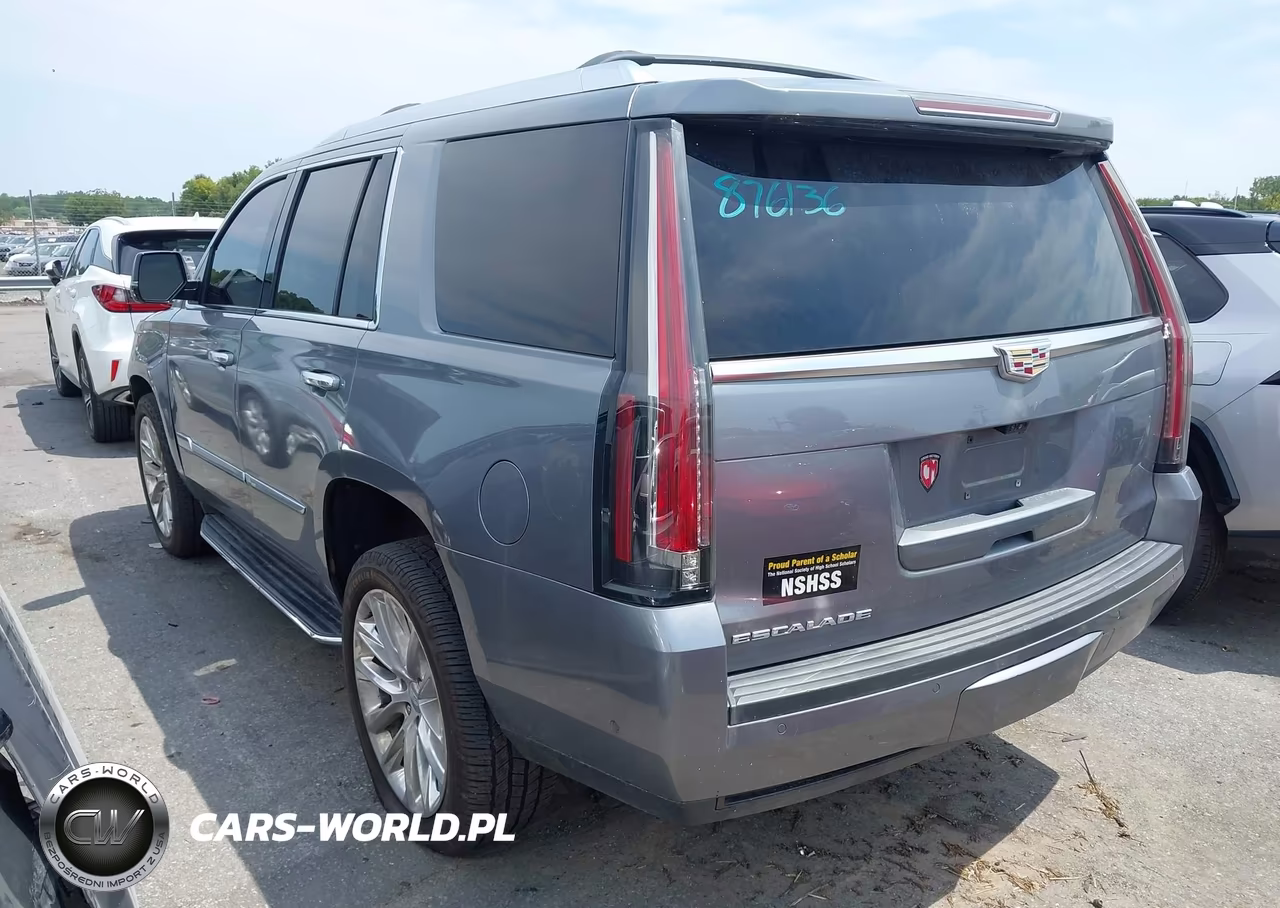 2019 Cadillac Escalade Luxury VIN:1GYS4BKJ5KR248462 - 3