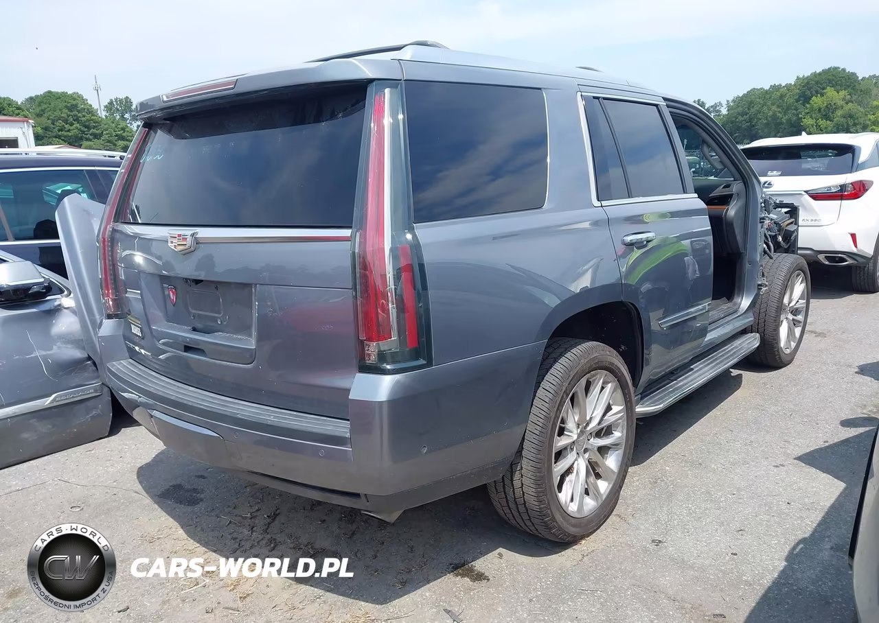 2019 Cadillac Escalade Luxury VIN:1GYS4BKJ5KR248462 - 4