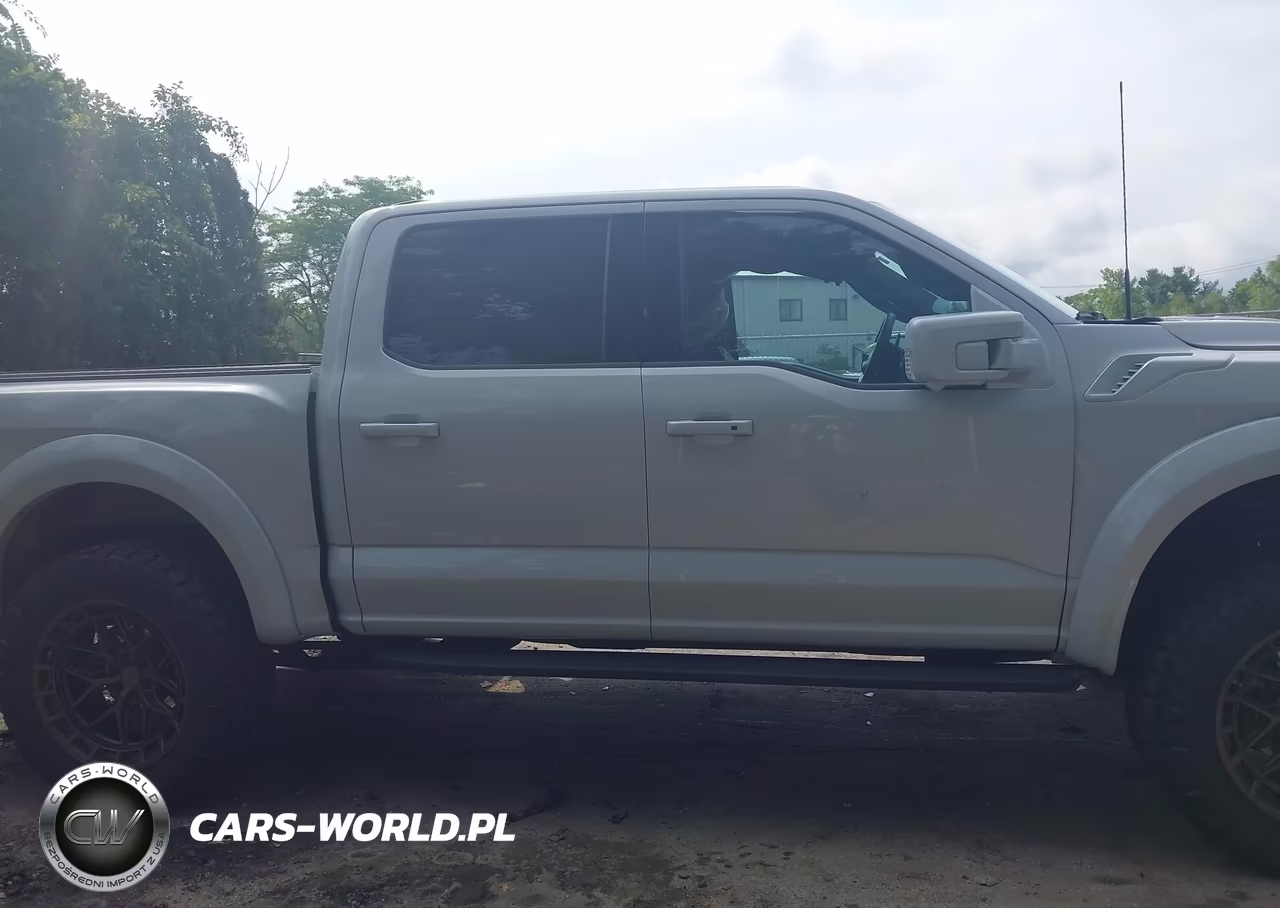 2025 Ford F-150 Raptor VIN:1FTFW1RG8SFA42379 - 13