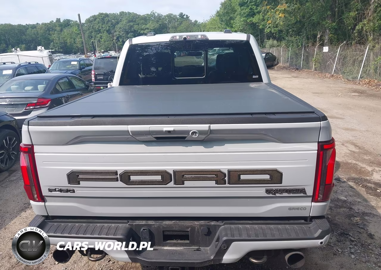 2025 Ford F-150 Raptor VIN:1FTFW1RG8SFA42379 - 16
