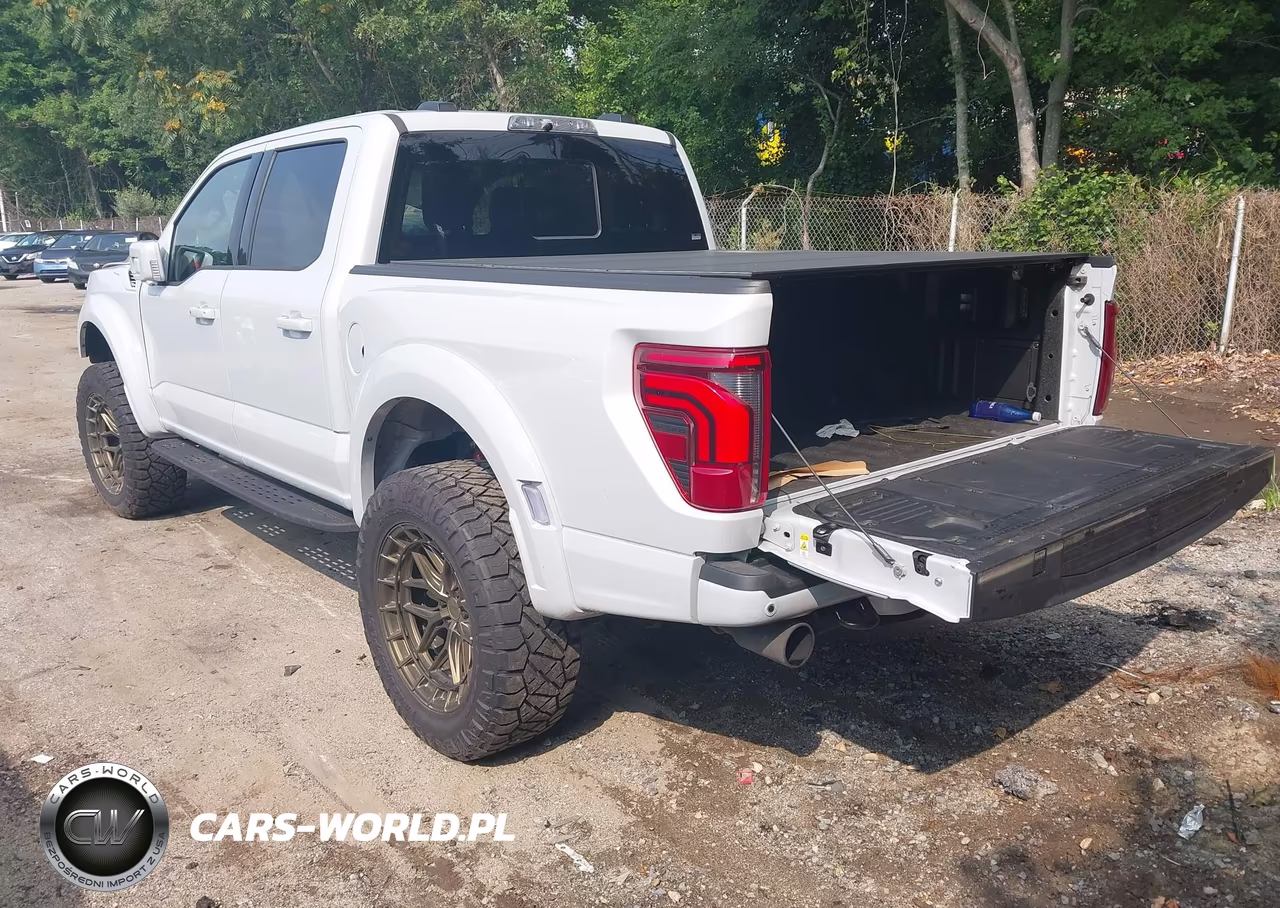 2025 Ford F-150 Raptor VIN:1FTFW1RG8SFA42379 - 3