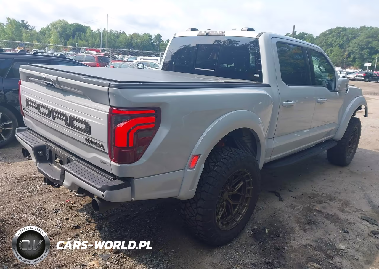 2025 Ford F-150 Raptor VIN:1FTFW1RG8SFA42379 - 4