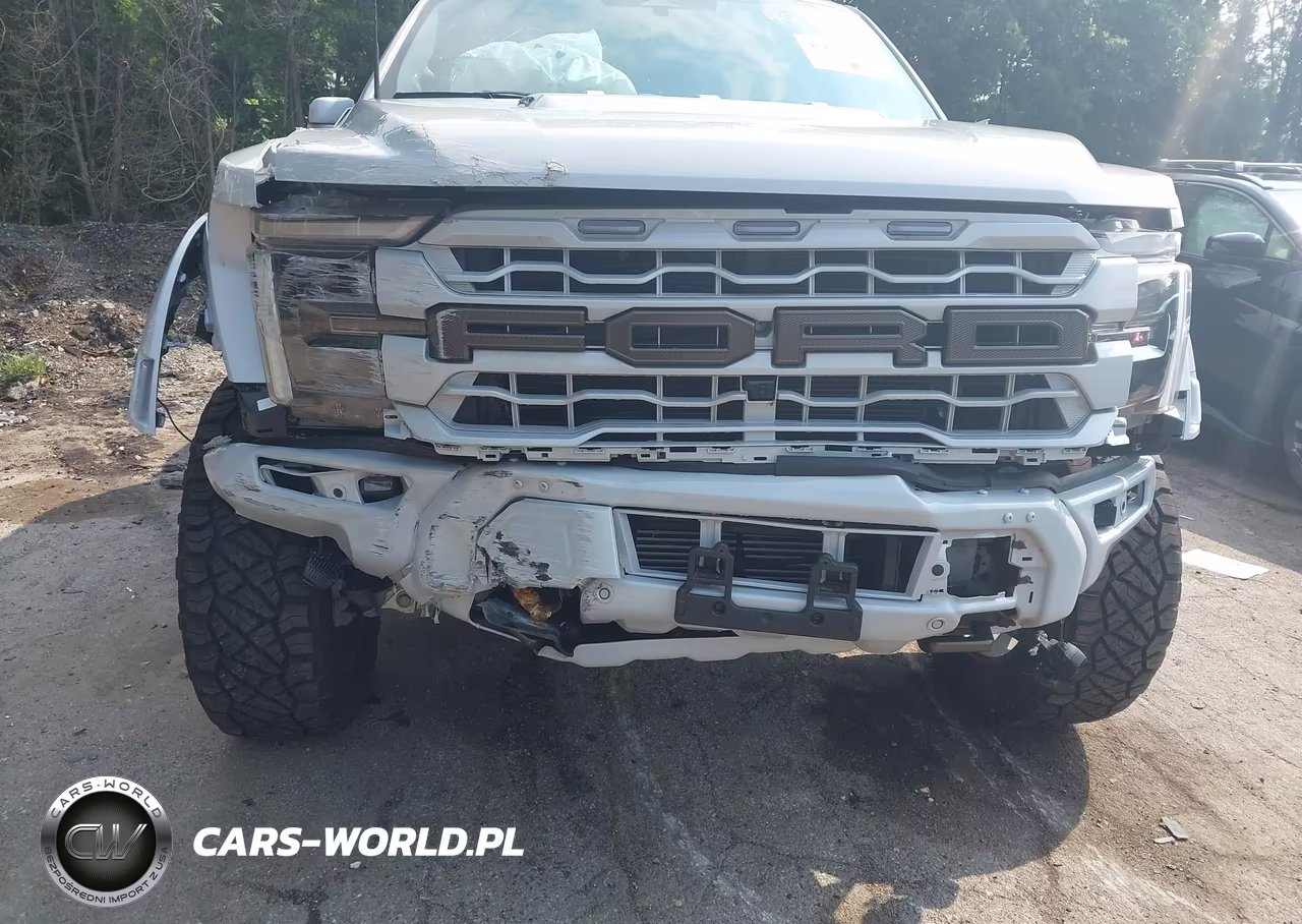 2025 Ford F-150 Raptor VIN:1FTFW1RG8SFA42379 - 6