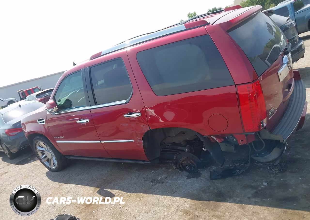 2014 Cadillac Escalade Platinum VIN:1GYS4DEF6ER222489 - 14