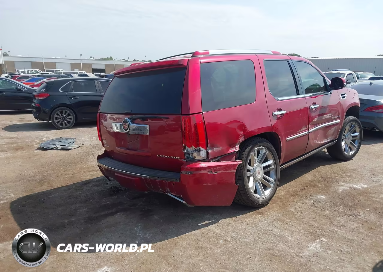 2014 Cadillac Escalade Platinum VIN:1GYS4DEF6ER222489 - 4