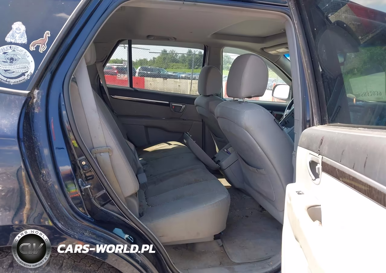 2007 Hyundai Santa Fe Gls VIN:5NMSG13D17H111546 - 8
