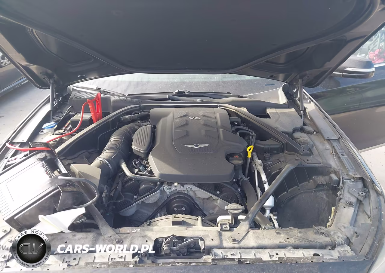 2017 Genesis G80 3.8 VIN:KMHGN4JE3HU206866 - 10
