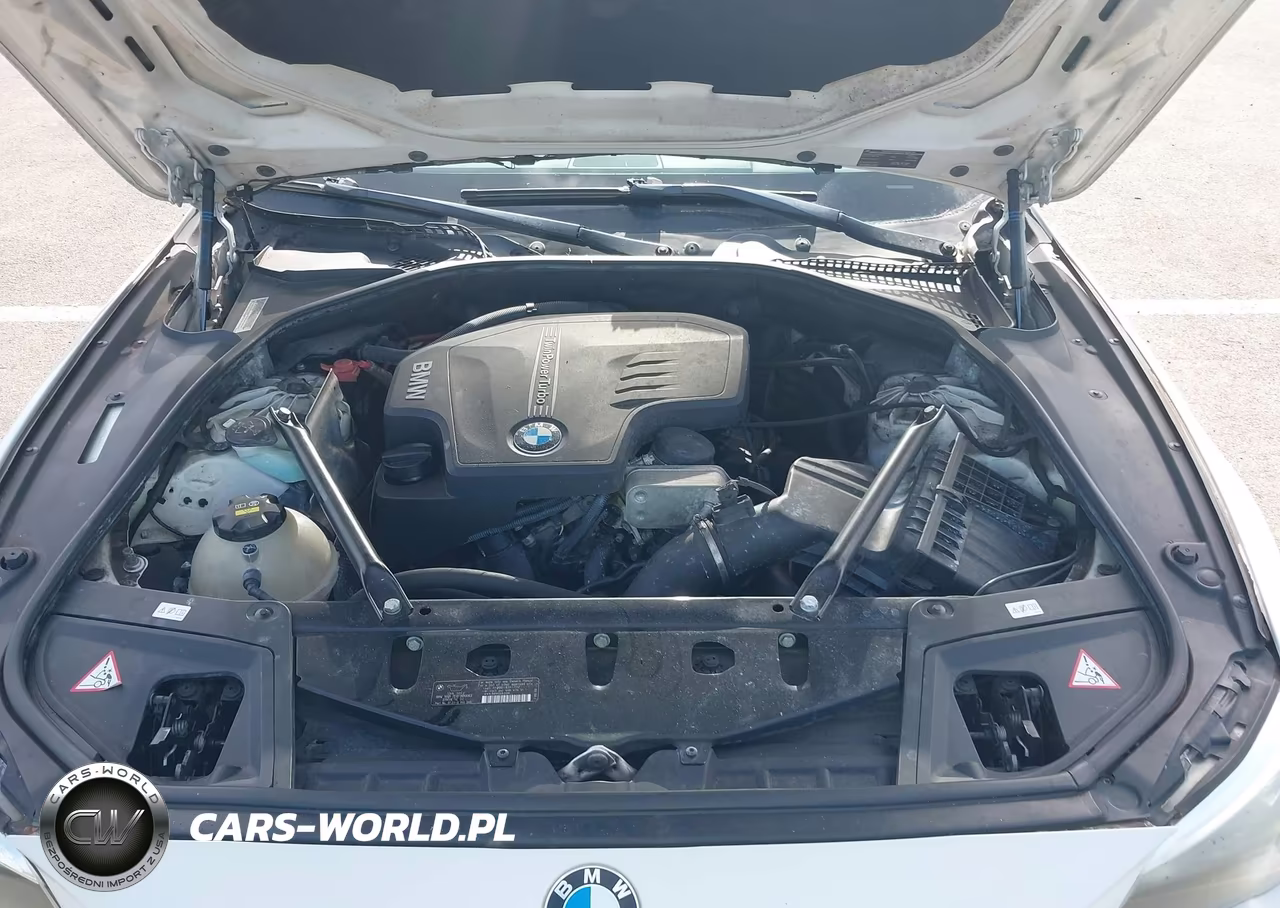 2014 BMW 528I VIN:WBA5A5C50ED507601 - 10