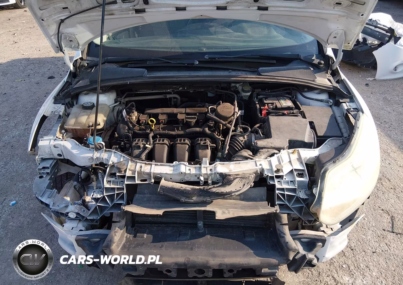 2013 Ford Focus Se VIN:1FADP3F20DL321506 - 10