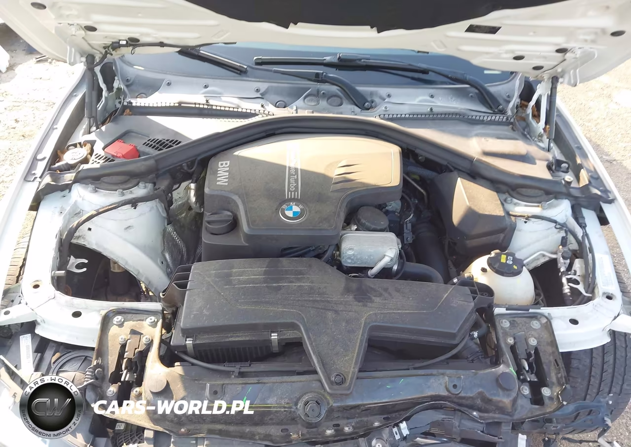 2015 BMW 320I xDrive VIN:WBA3C3G52FNT51976 - 10