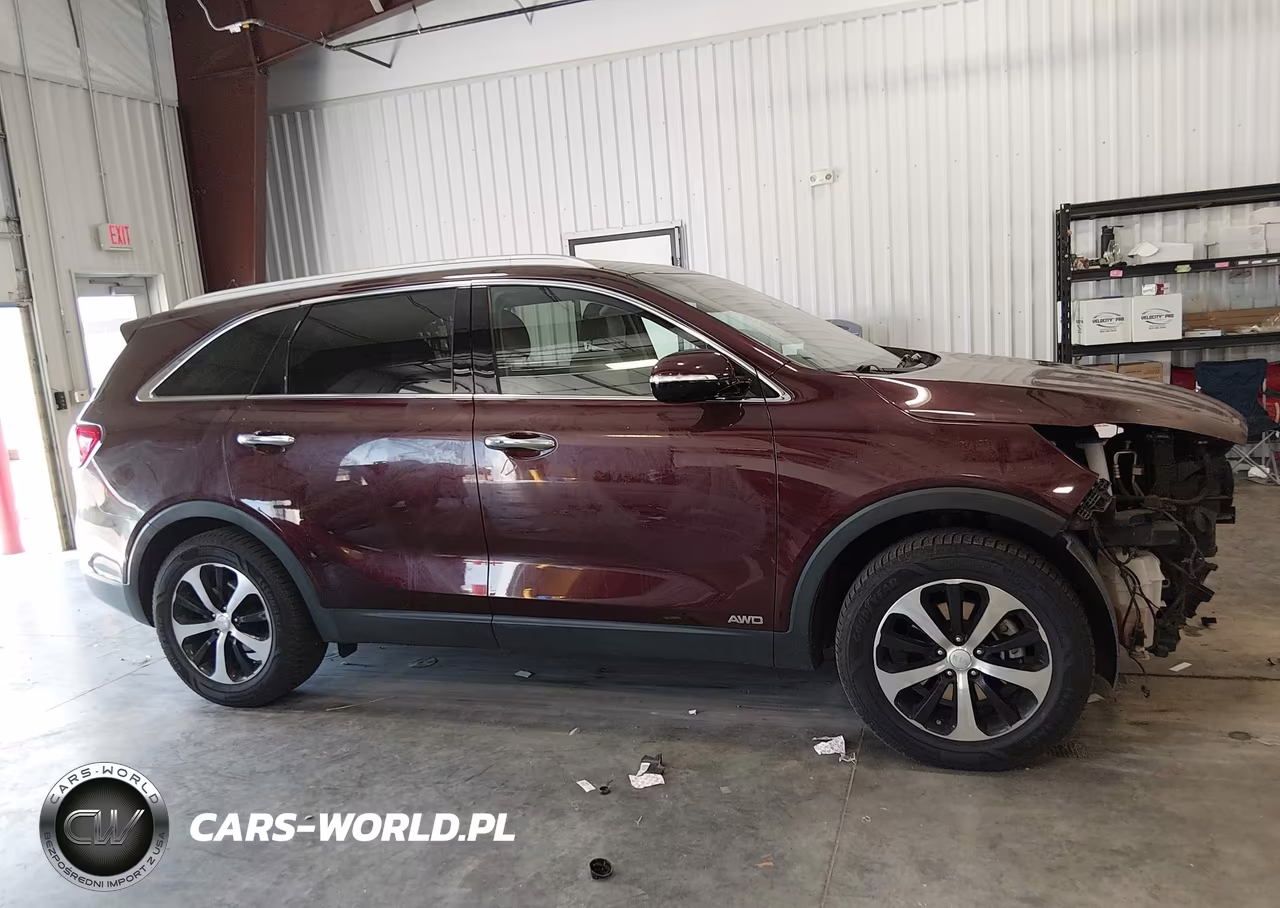 2017 Kia Sorento 2.0T Ex VIN:5XYPHDA11HG273413 - 13