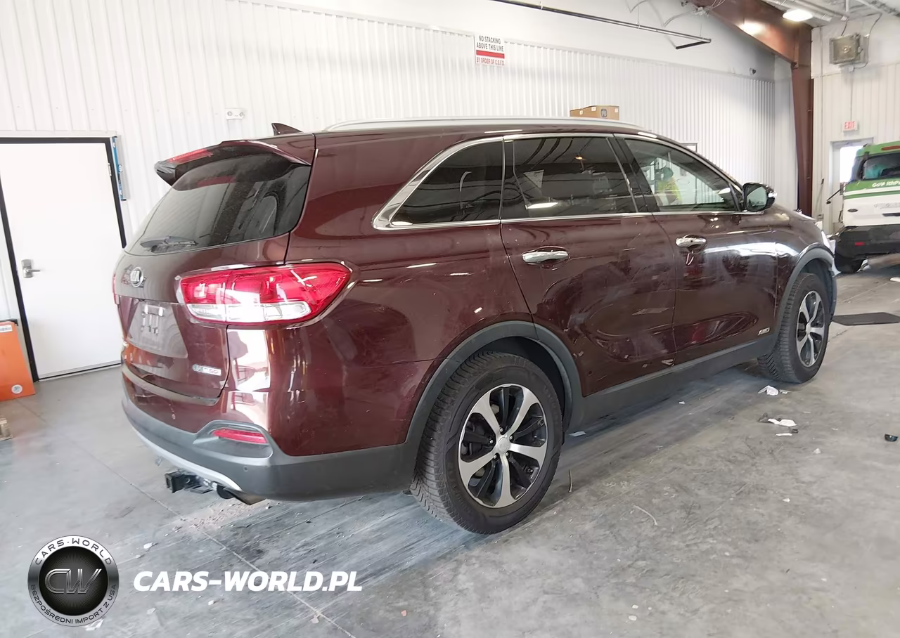2017 Kia Sorento 2.0T Ex VIN:5XYPHDA11HG273413 - 4