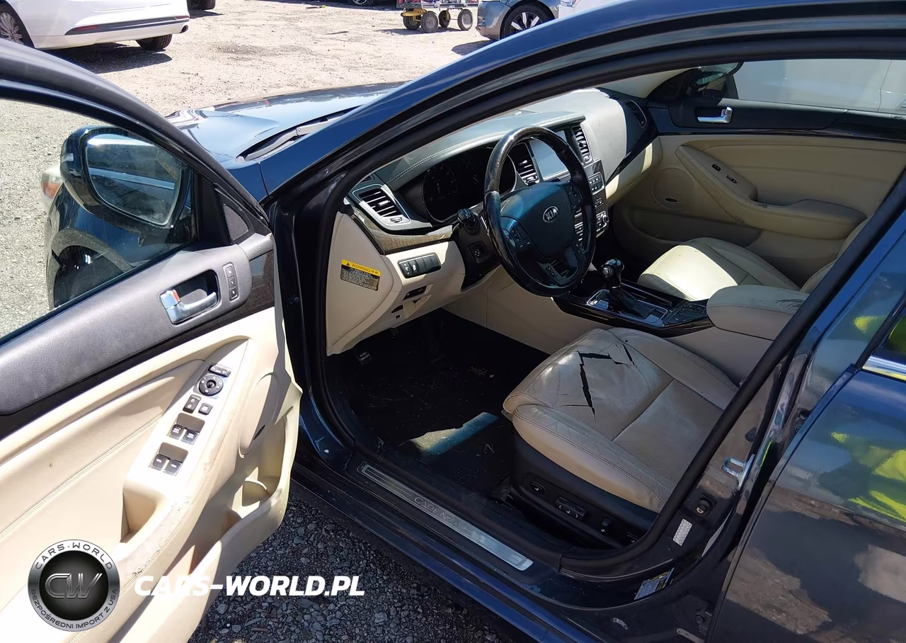 2015 Kia Cadenza Premium VIN:KNALN4D73F5195193 - 5
