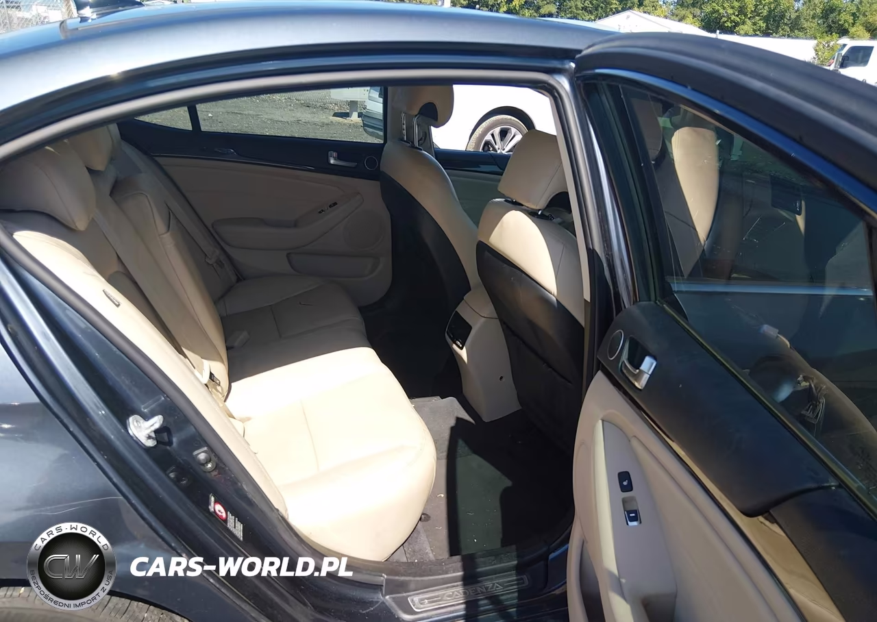 2015 Kia Cadenza Premium VIN:KNALN4D73F5195193 - 8