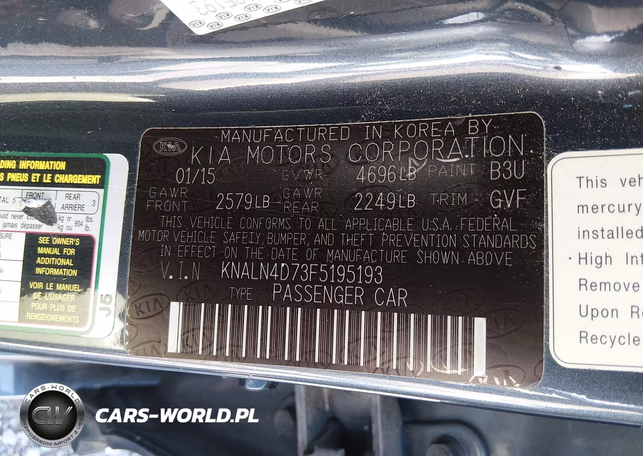 2015 Kia Cadenza Premium VIN:KNALN4D73F5195193 - 9